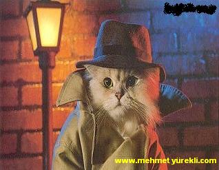 Mehmet Can