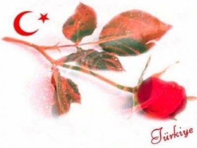 İsmail Sevinc