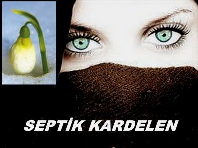 Septik Kardelen