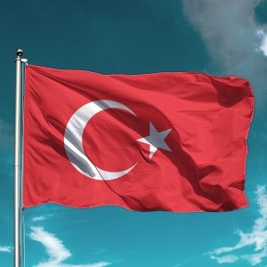 Neşe Turhan