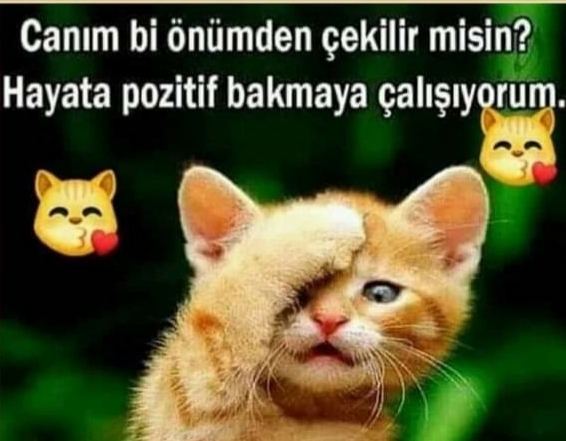 Gülden Sen