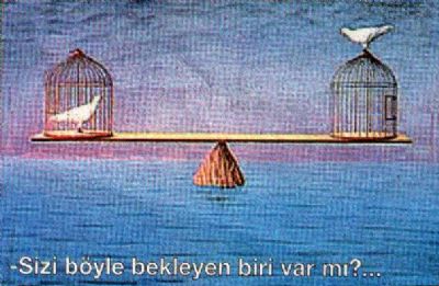 Batuhan Türkcan