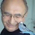Necati Kavlak